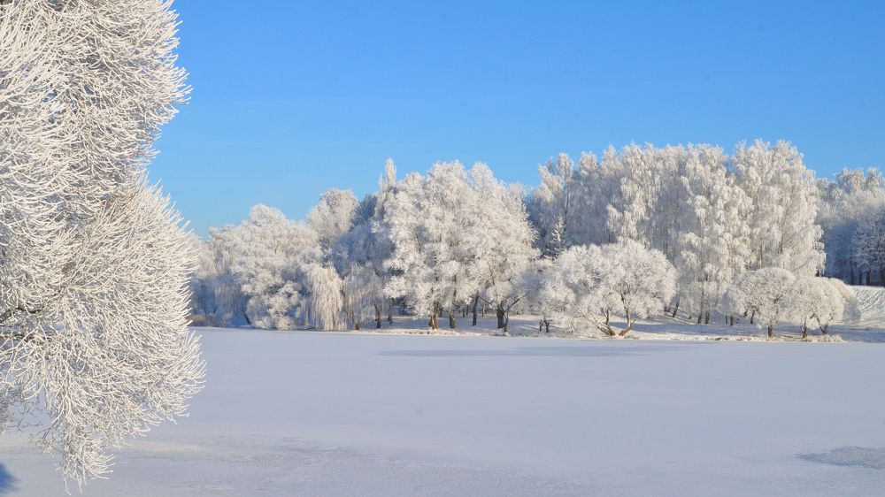 Photograph by Евгений