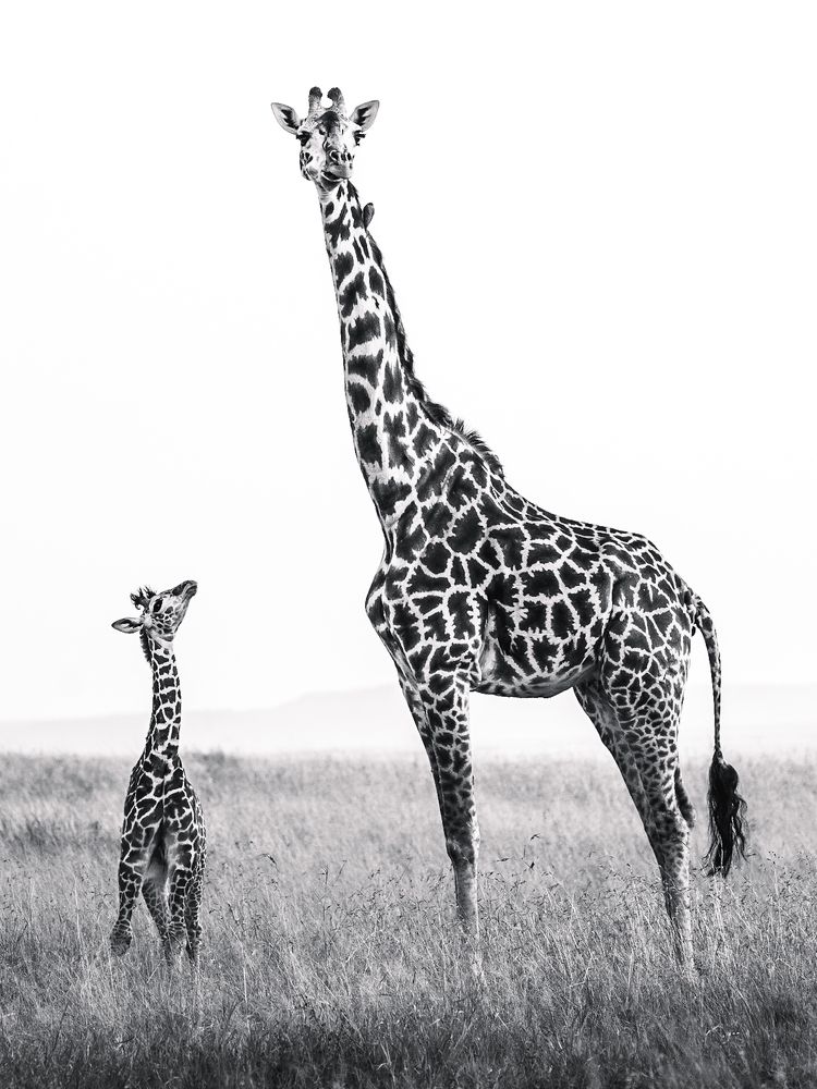 Photograph by Dhir Jakharia