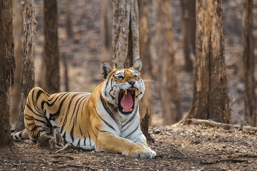 Photograph by Bhavesh Rathod