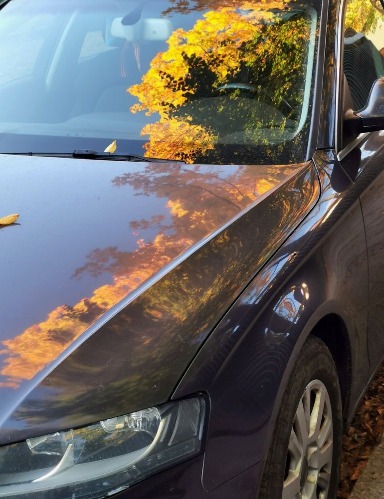 Photograph by Наталия Питолина