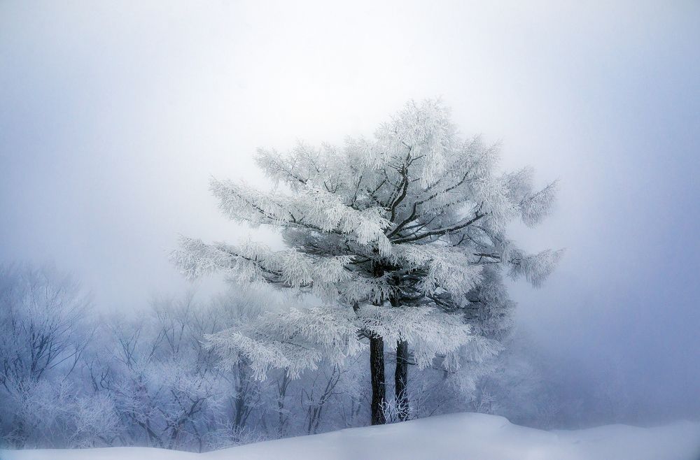 Photograph by Graham Earnshaw