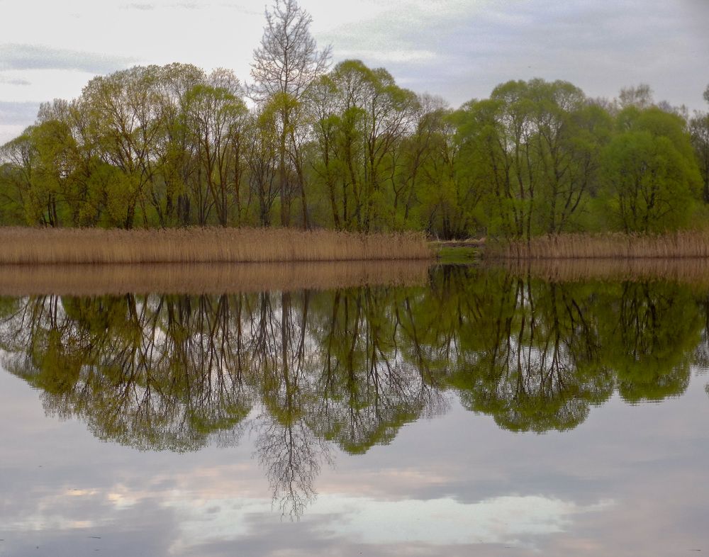 Фотография автора Valiantsina Sivakova