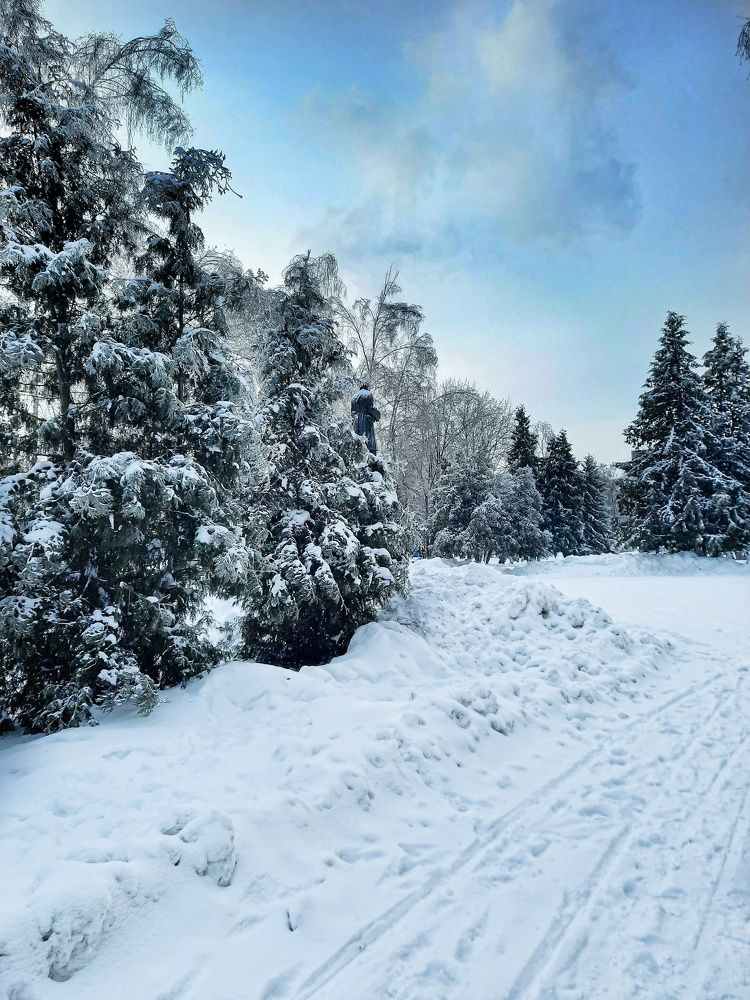 Фотография автора Irina Vornacheva