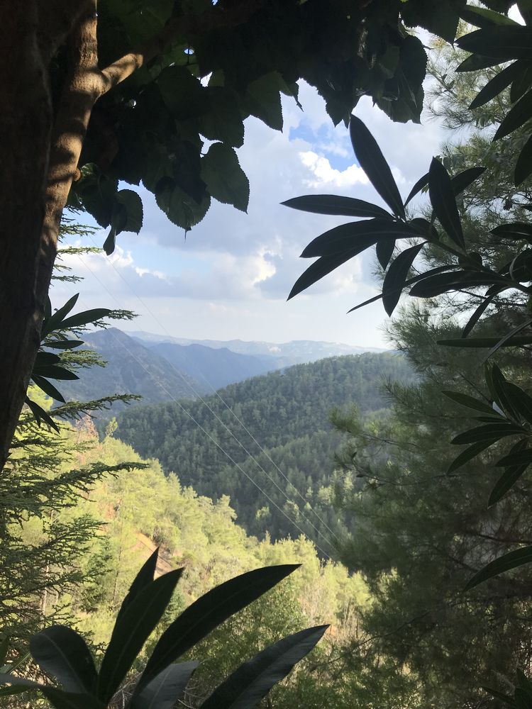 Фотография автора Ариша