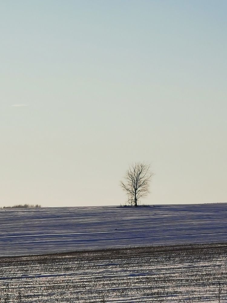 Photograph by Рутковская Жанна