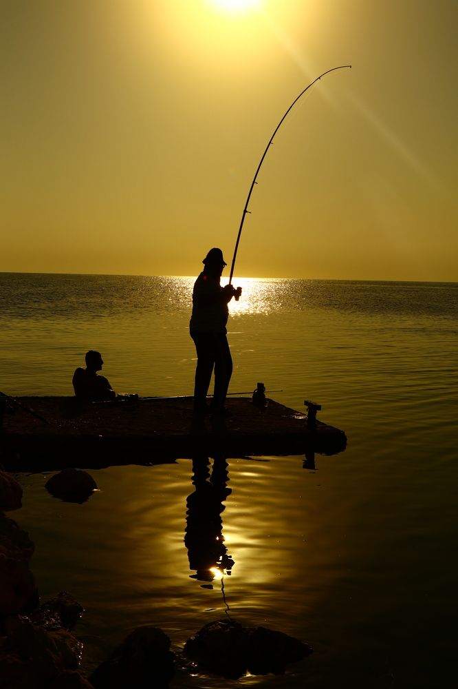 Photograph by Chaitanya sravanthi Vutukuru