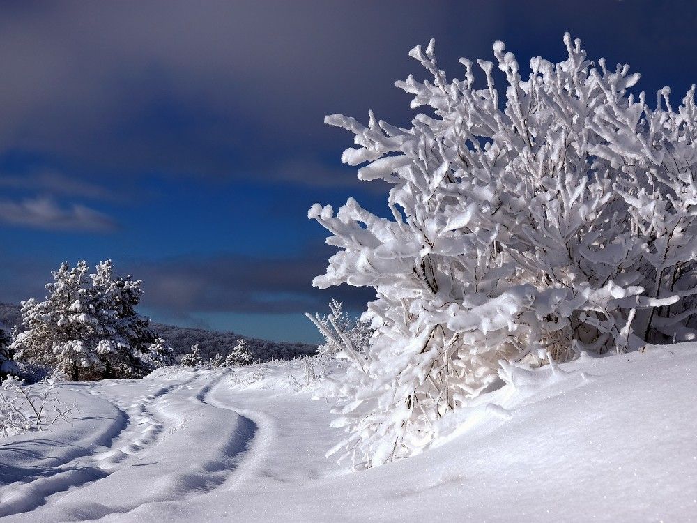 Photograph by Сергей Гринько
