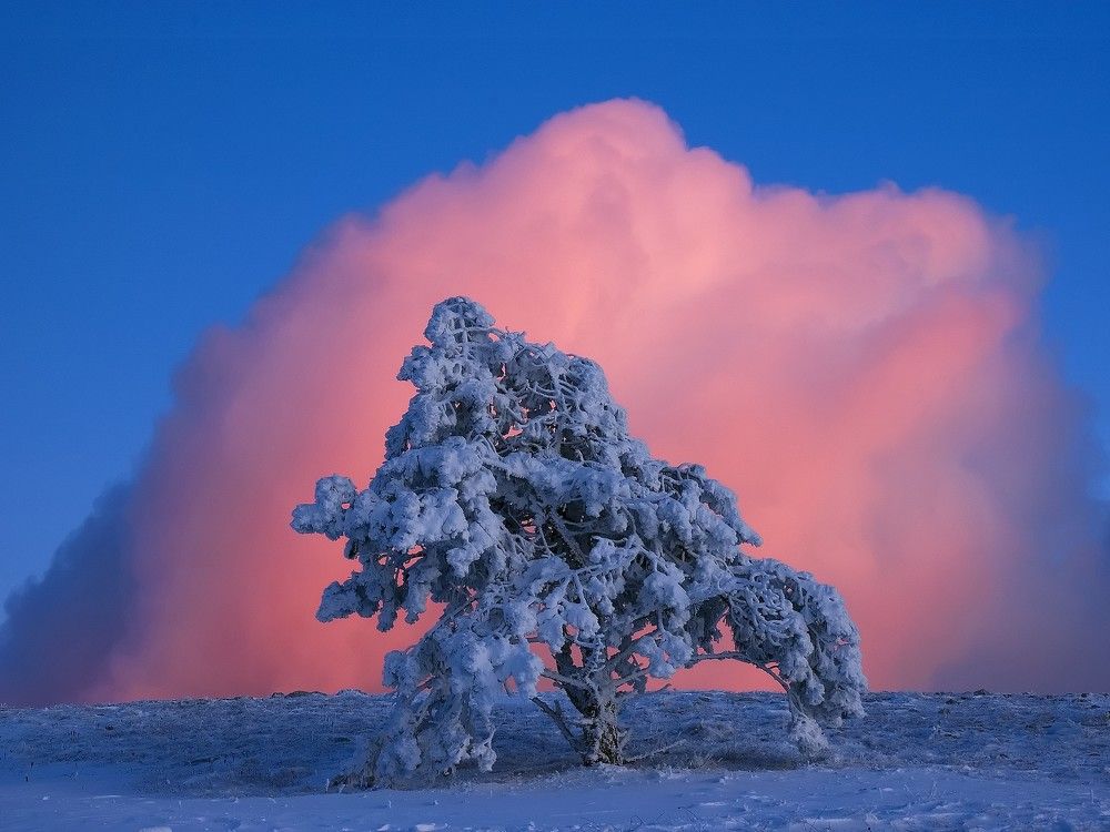 Photograph by Сергей Гринько