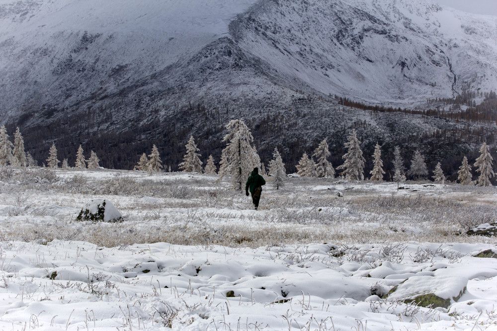 Photograph by Елена