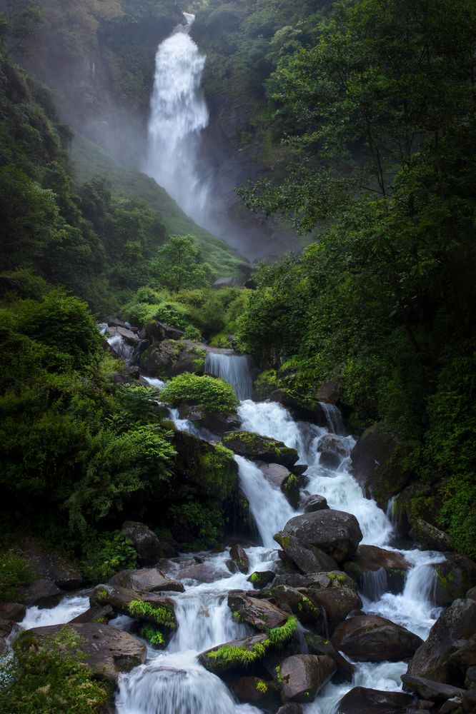 Photograph by Saheli Basak