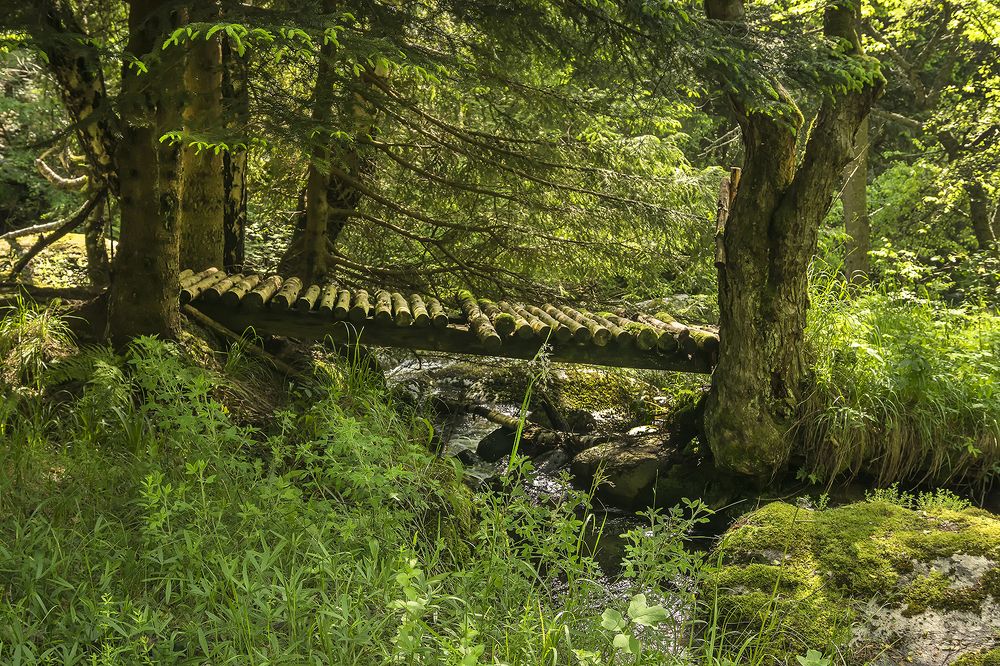 Фотография автора Milena Ivanova