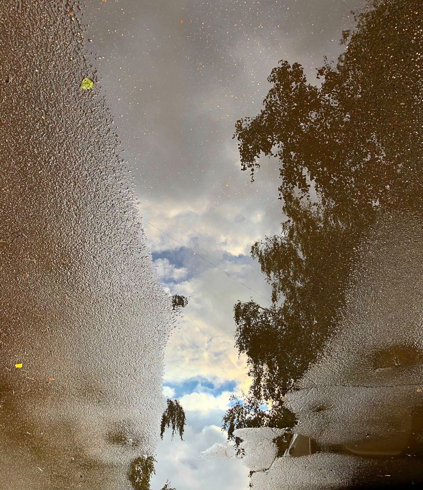 Reflection of the world