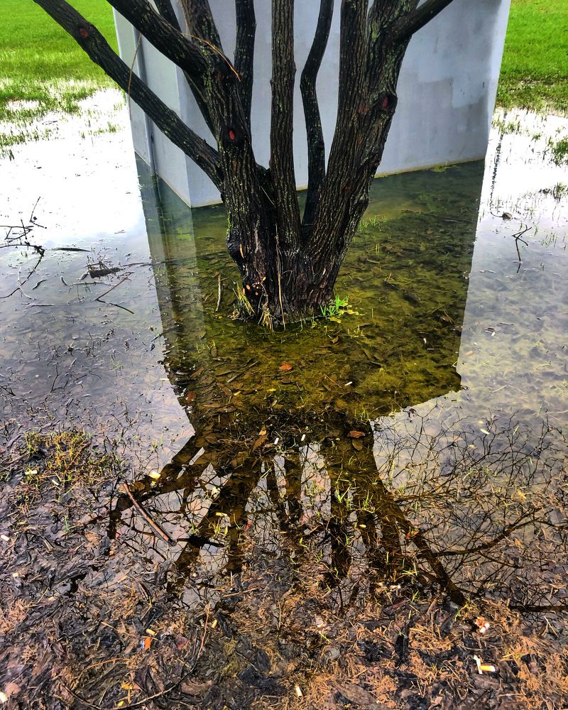 Look for the line between the worlds.