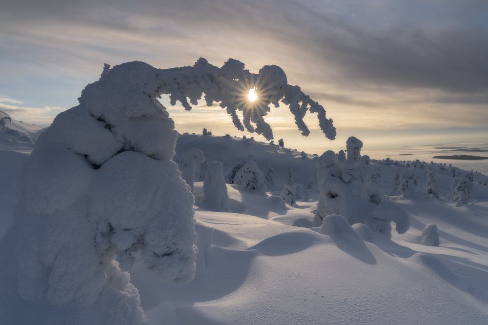 Photograph by Юлия Шумляева