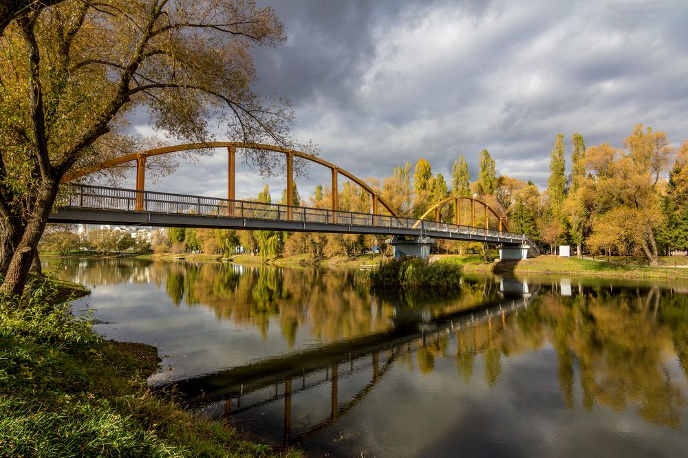 Photograph by Юлия Шумляева