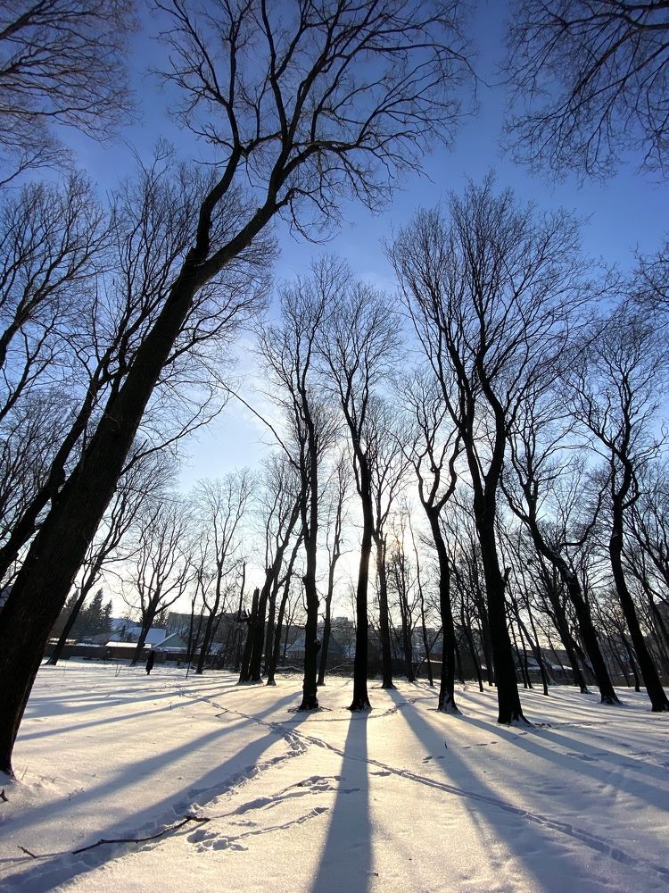 Photograph by Владимир Тетушкин