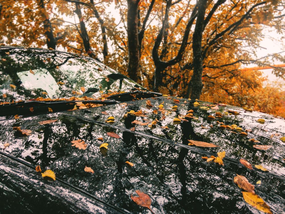 Photograph by Виталий Шкадинов