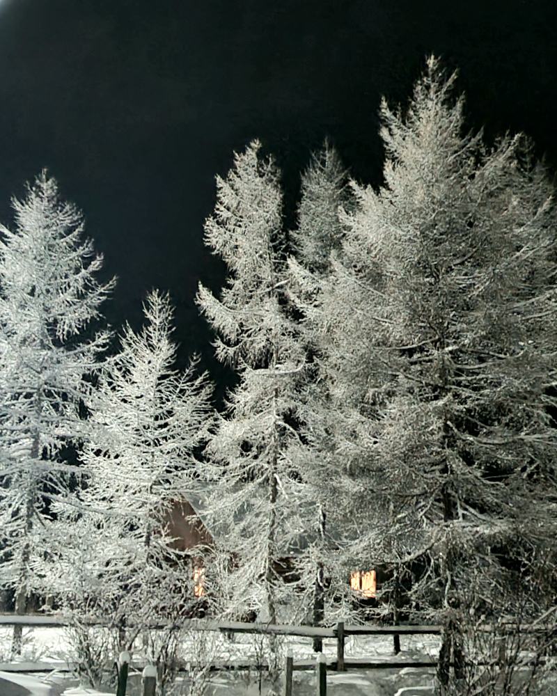 Photograph by Альбина Бугименова