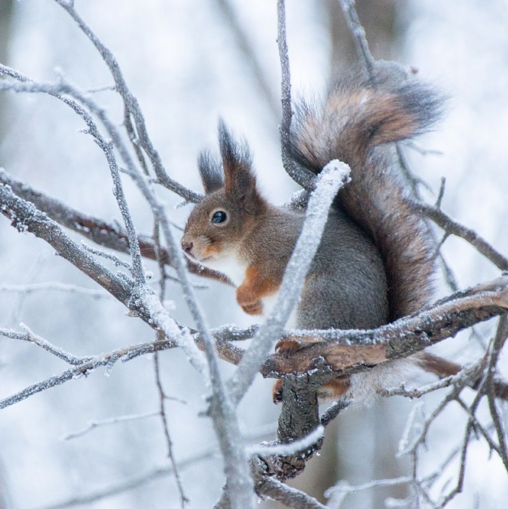 Photograph by Тихон Петров