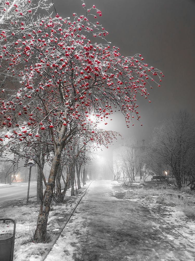 Photograph by Ахсарбек Абаев