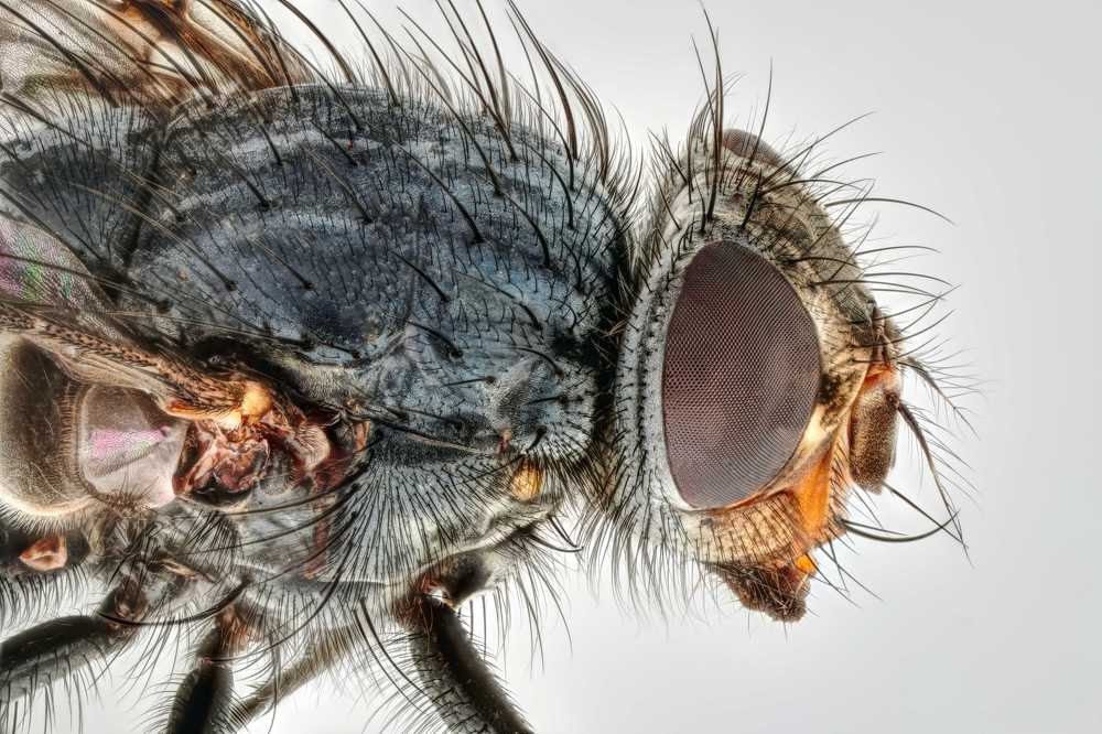 Photograph by Александр Трипольский