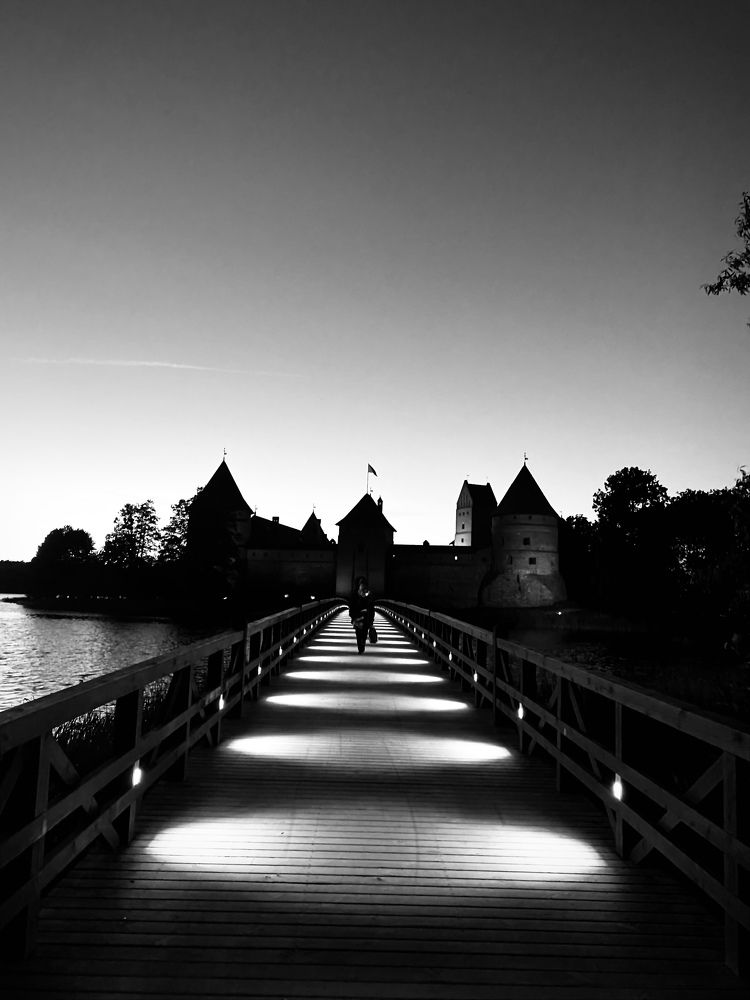 Photograph by Laura Simanaviciute