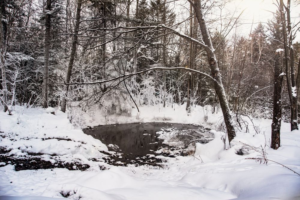 Photograph by Роман Смолко