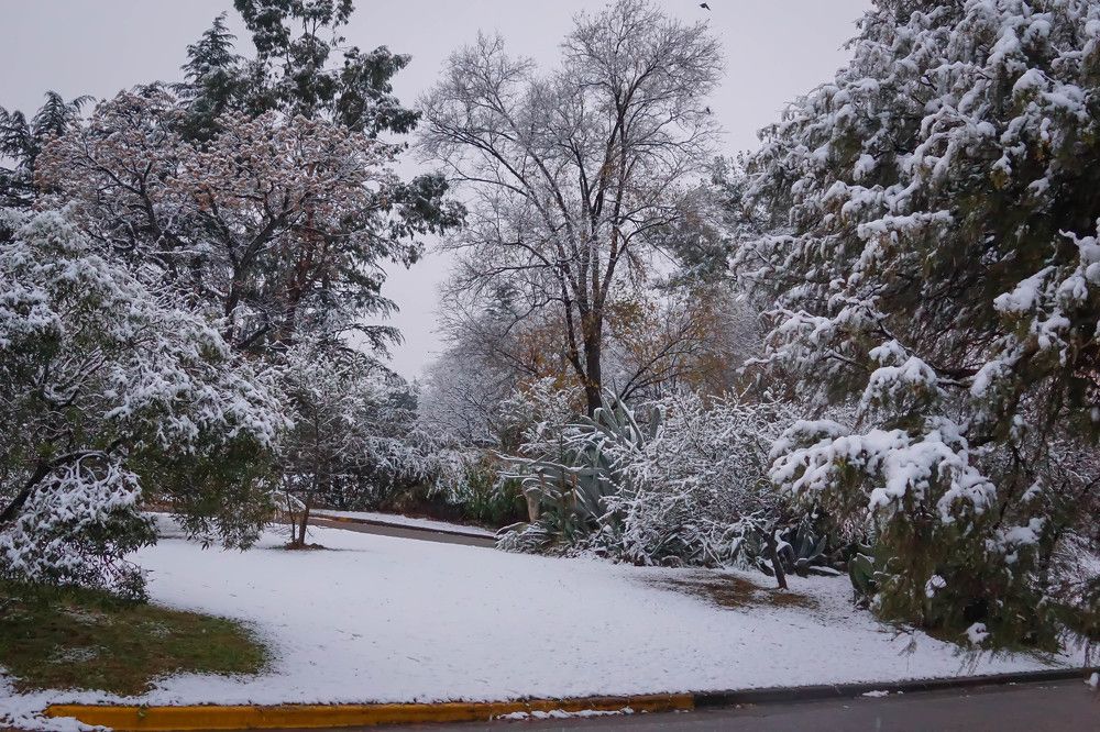 Photograph by Karina Elena Bergagna