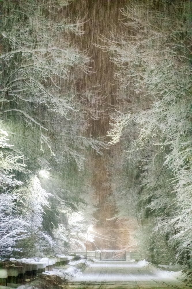 Photograph by Сергей Пестерев