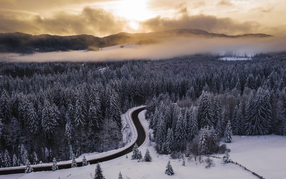 Photograph by Дмитрий Иванов