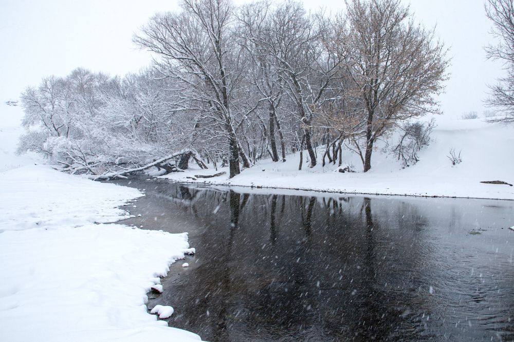 Photograph by Александр Пиленгас