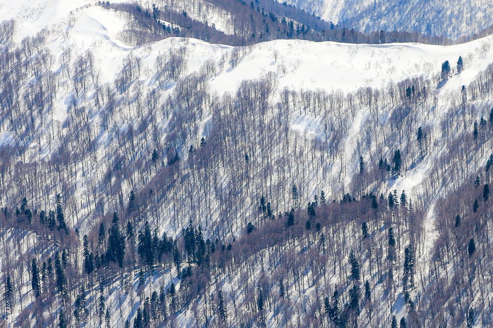 Photograph by Александр Пиленгас