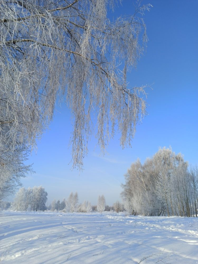 Photograph by Eлена Смирнова