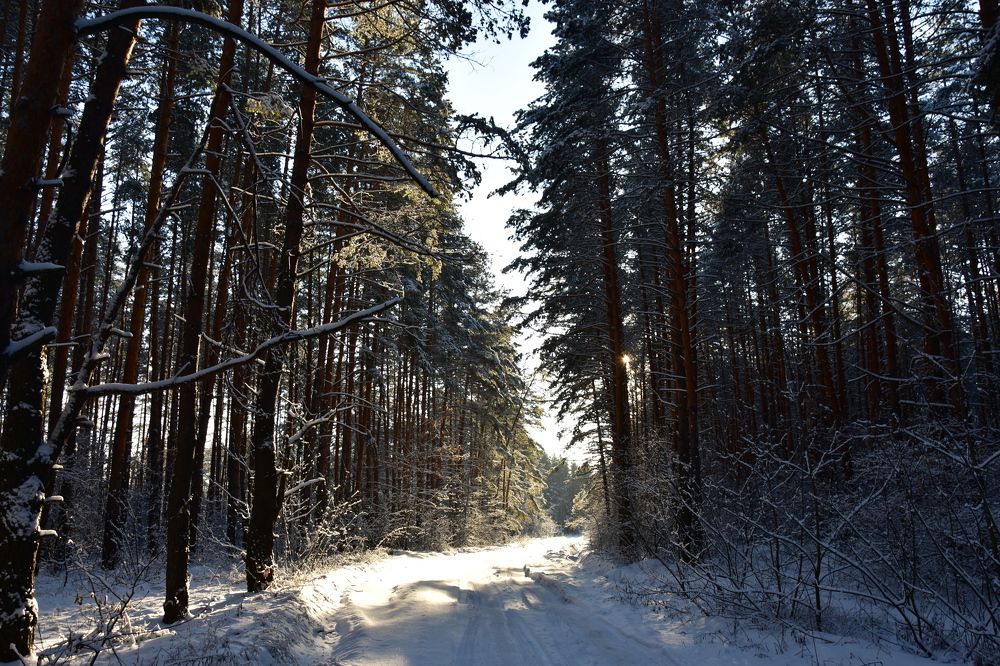 Photograph by Валерий Гудков