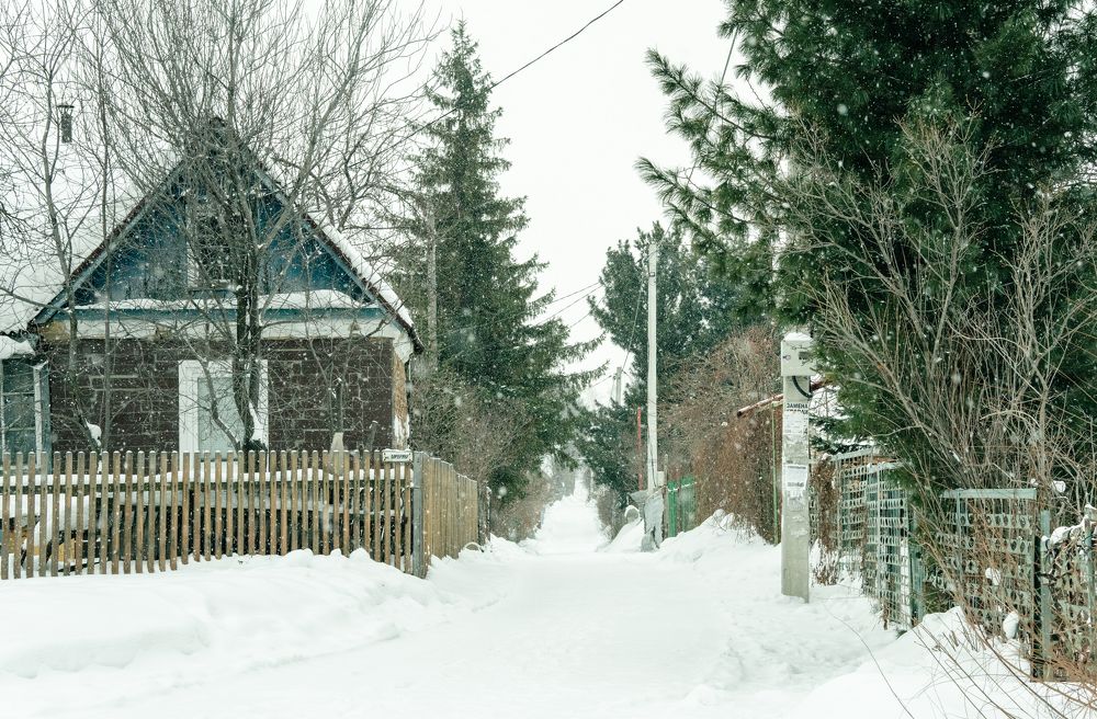 Фотография автора Максим Грибанов