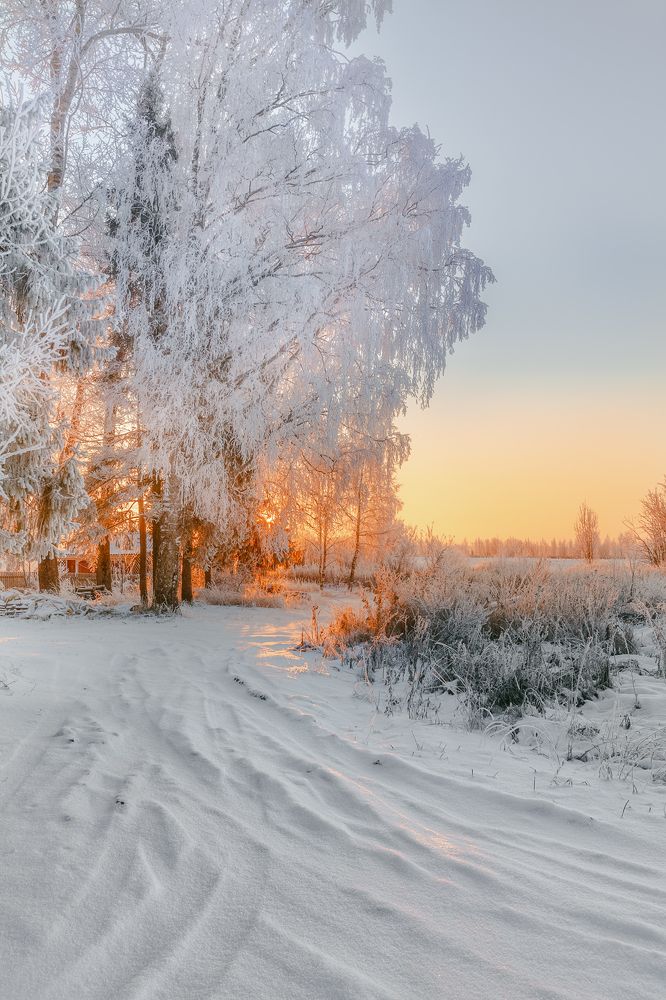 Photograph by Александр Никитинский