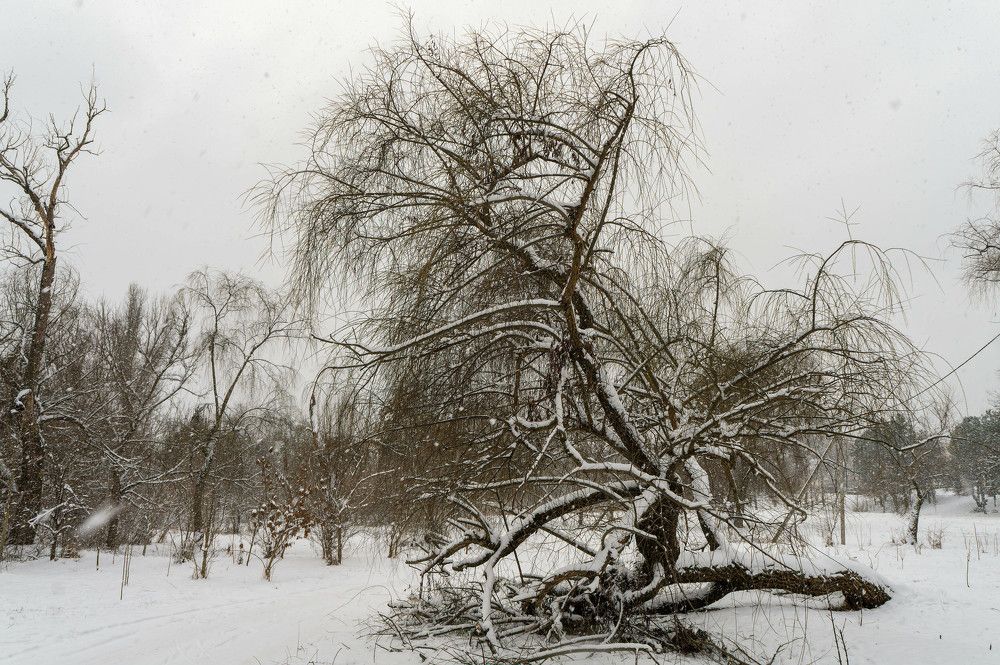 Photograph by Олег Ершов