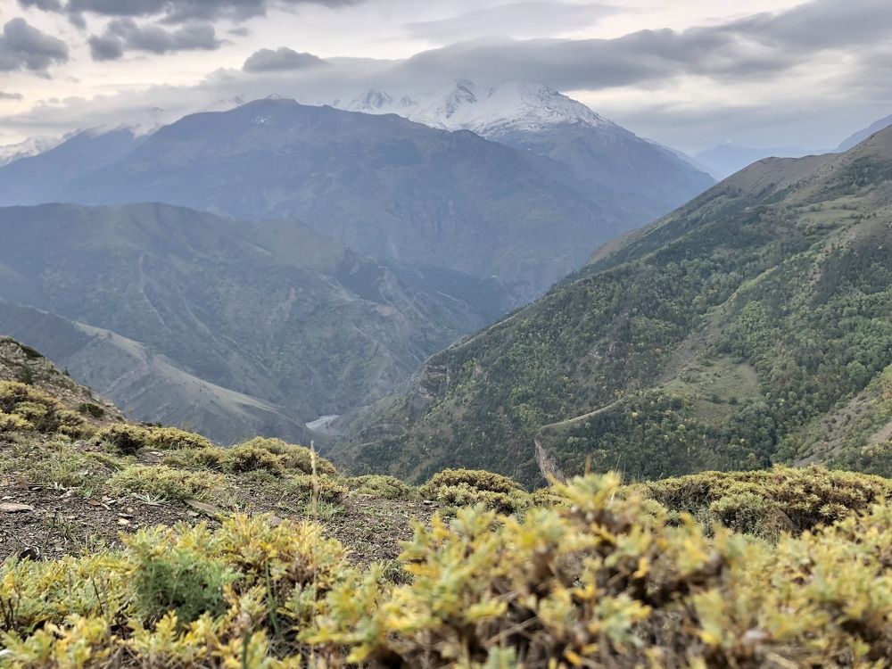 Photograph by Ольга Ильина