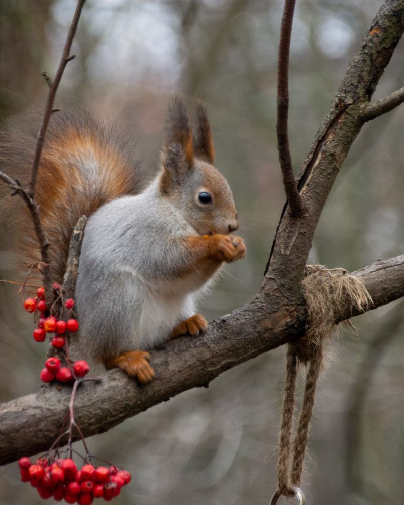 Photograph by Тихон Петров