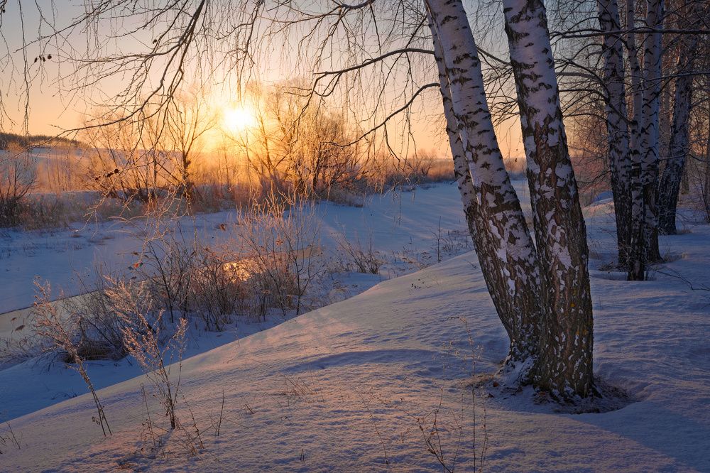 Photograph by Григорий Шалик