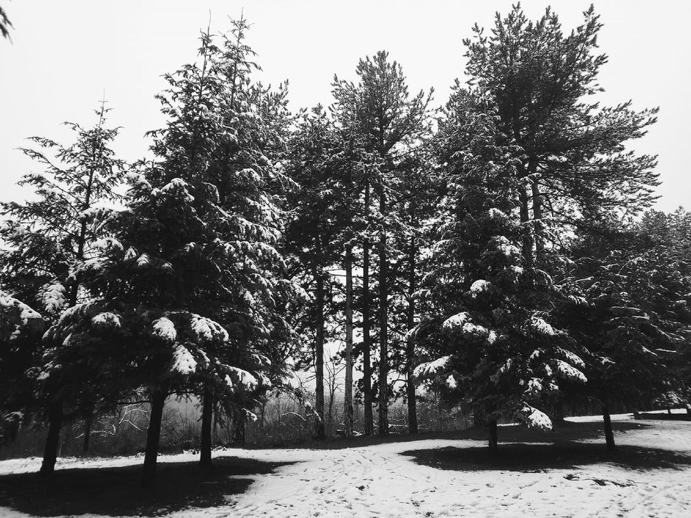 Photograph by Olga Vatkova