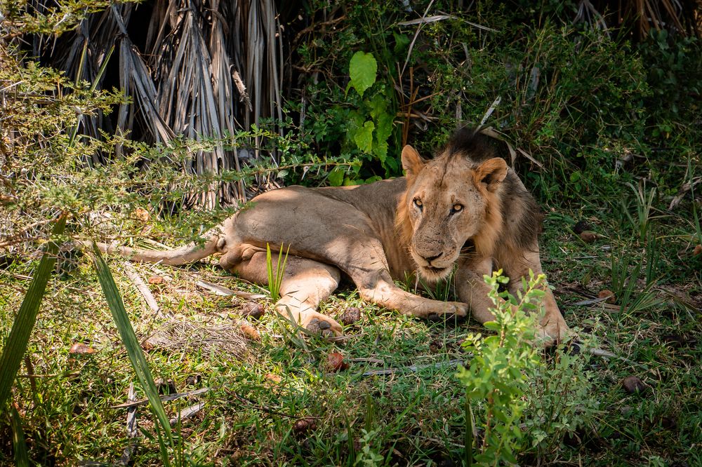 Photograph by Анна Силютина