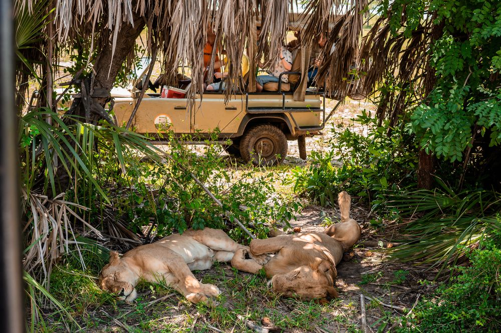 Photograph by Анна Силютина