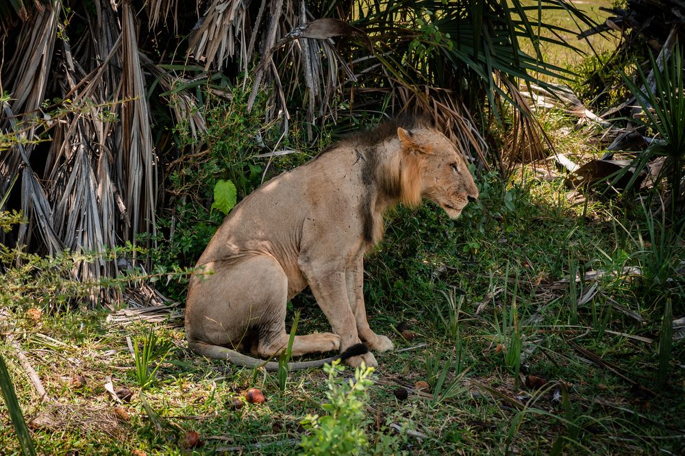 Photograph by Анна Силютина