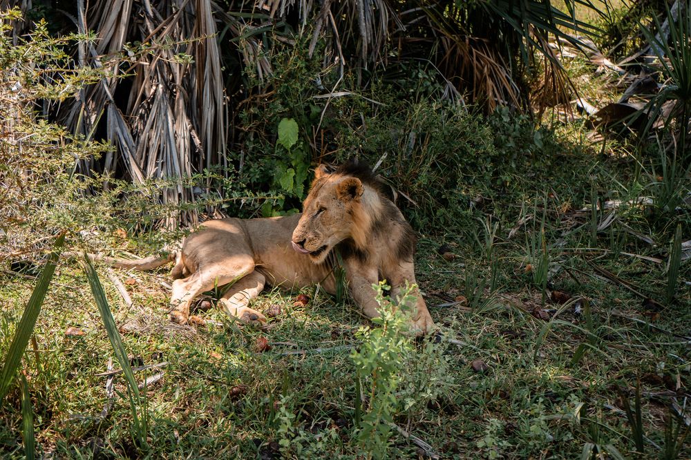 Photograph by Анна Силютина