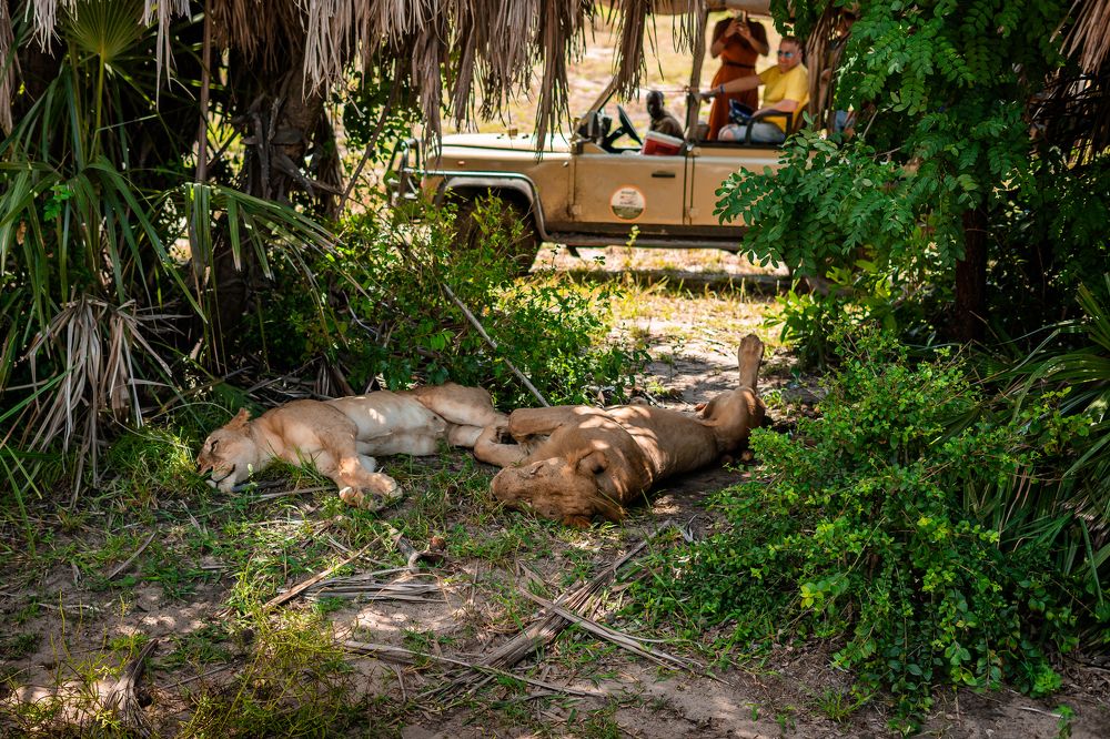 Photograph by Анна Силютина