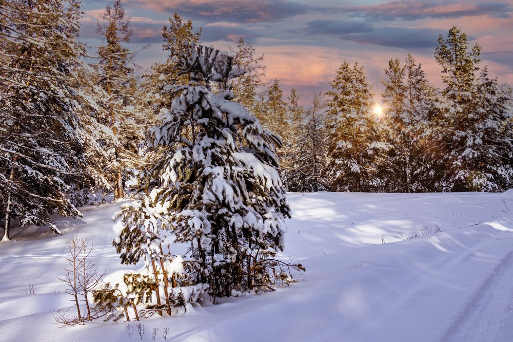 Photograph by Валерий Шорохов