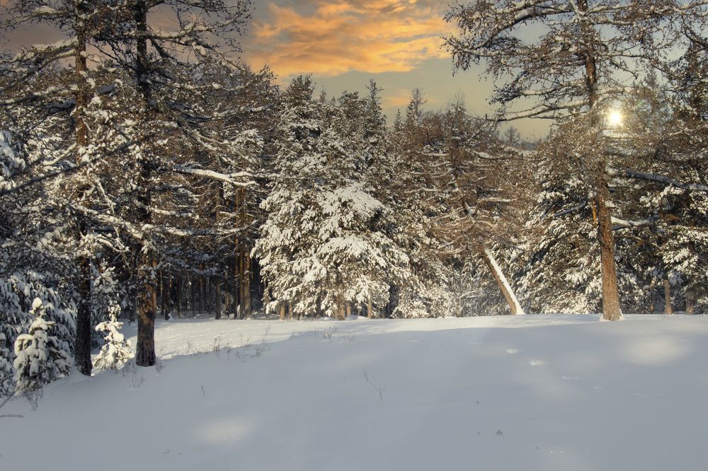 Photograph by Валерий Шорохов