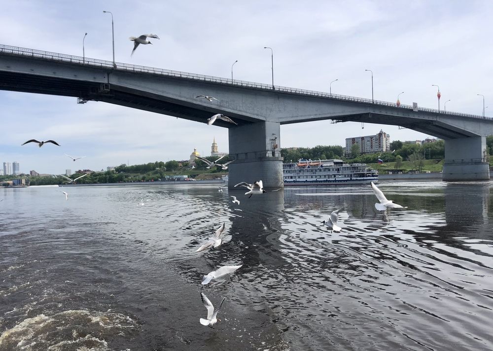 Photograph by Ольга Ильина