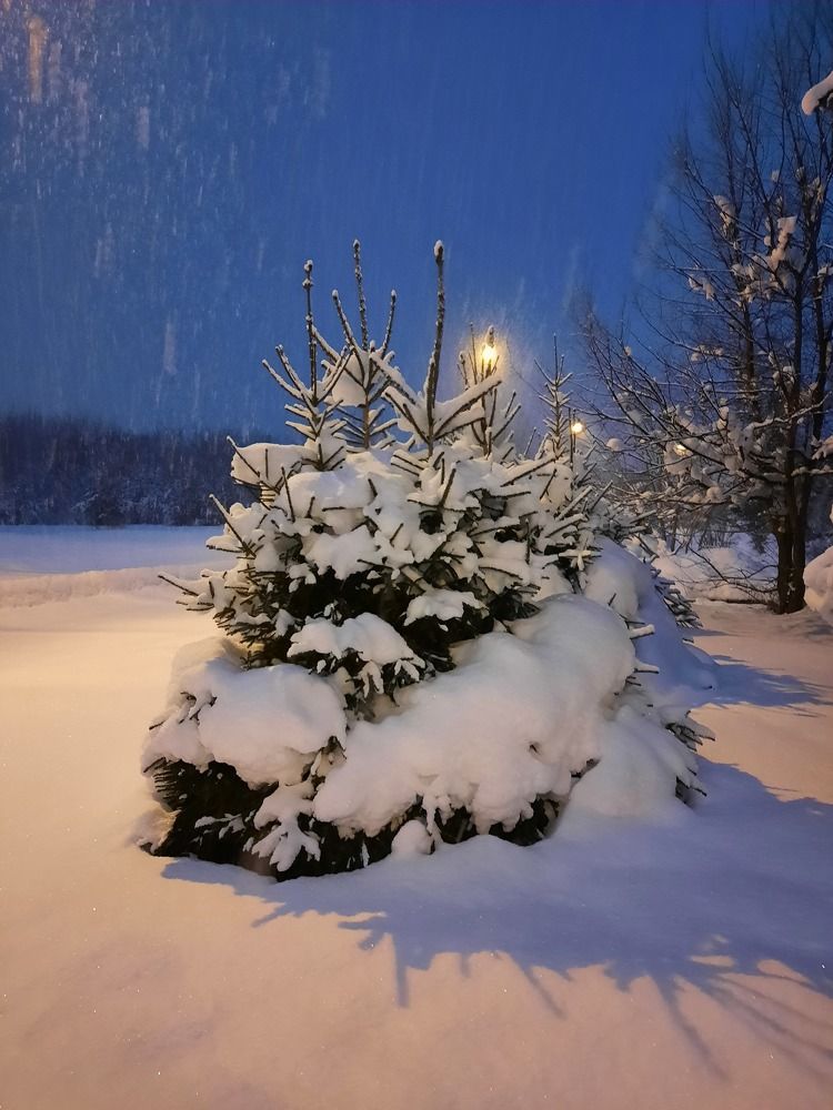 Рождество!